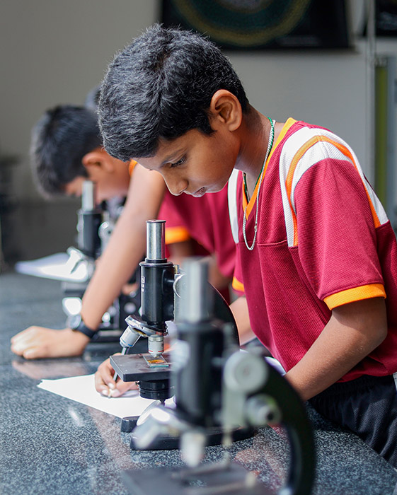 Science & STEM Labs