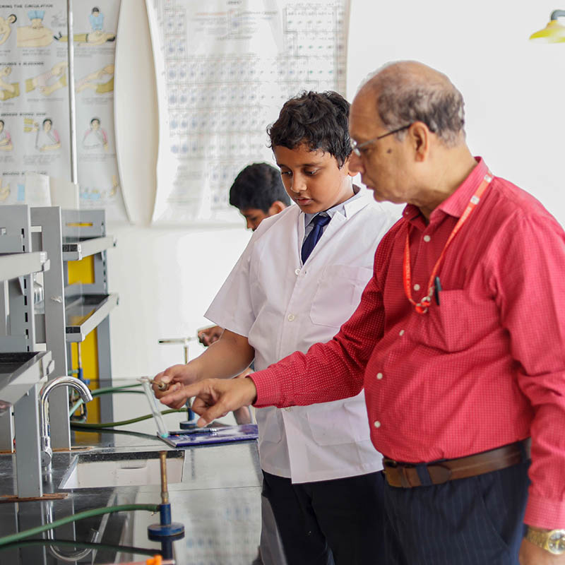 Guided experimentation with a science mentor