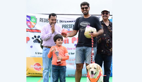 Pet Show 3