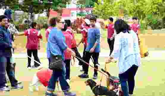 Pet Show 2